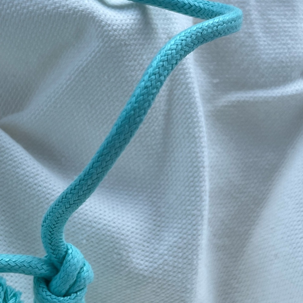 Tiffany & Co. Large drawstring bag/ Firm price - Picture 2 of 15